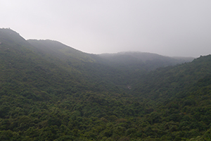 Mist, Ma On Shan Country Park, 29 November 2014