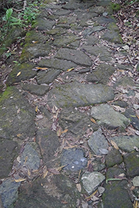 Rocky path with dried leaves, Ma On Shan Country Park, 29 November 2014