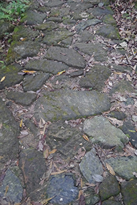 Old stone path in Ma On Shan Country Park, 29 November 2014