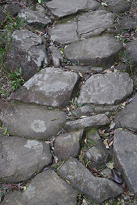 Old stone path with dried leaves, Ma On Shan Country Park, 29 November 2014