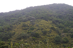 View of Ma On Shan Country Park, 29 November 2014