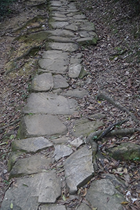 Old stone path with dried leaves, Ma On Shan Country Park, 29 November 2014