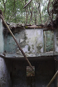 Abandoned house, Ma On Shan Country Park, 29 November 2014