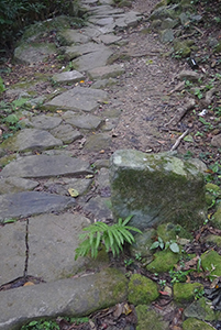 Old stone path, Ma On Shan Country Park, 29 November 2014