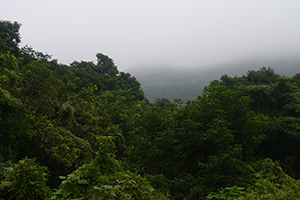 Mist, Ma On Shan Country Park, 29 November 2014