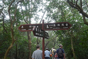 Signpost in Ma On Shan Country Park, 29 November 2014