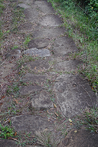 Old stone path, Ma On Shan Country Park, 29 November 2014