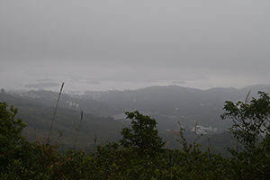 Mist, Ma On Shan Country Park, 29 November 2014