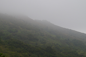 Mist, Ma On Shan Country Park, 29 November 2014