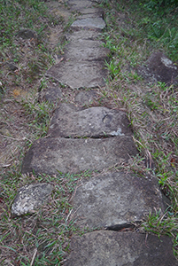 Old stone path, Ma On Shan Country Park, 29 November 2014