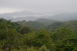 Mist, Ma On Shan Country Park, 29 November 2014
