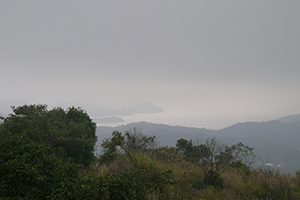 Mist, Ma On Shan Country Park, 29 November 2014