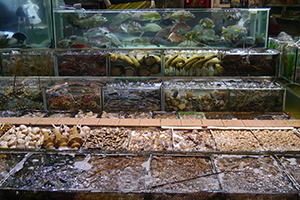 Fish tanks at a seafood restaurant, Sai Kung, 29 November 2014