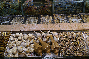 Fish tanks at a seafood restaurant, Sai Kung, 29 November 2014