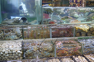 Fish tanks at a seafood restaurant, Sai Kung, 29 November 2014