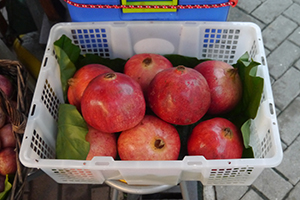 Pomegranates, Sai Kung, 29 November 2014