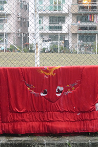 Laundry on a fence, Sai Kung, 29 November 2014