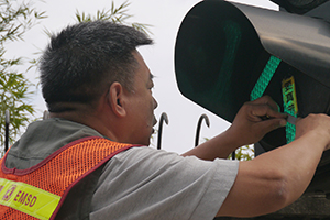 Removing a sticker from a traffic light, on the final day of the Admiralty Umbrella Movement occupation site, Harcourt Road, 11 December 2014