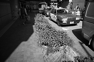 Street scene, Queen Street, Sheung Wan, Hong Kong Island, 16 December 2014