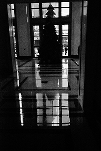 Christmas tree in the lobby of a building, Connaught Road Central, 16 December 2014