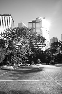 Chater Garden, Central, 20 December 2014