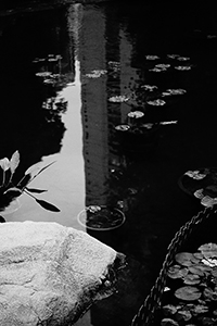 Pond, Hong Kong Park, 24 December 2014