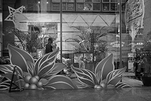 Christmas decorations on a window, Sheung Wan, 26 December 2014