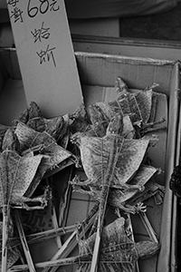 Dried lizards for sale, Sheung Wan, 26 December 2014