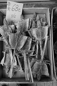 Dried lizards on sale, Sheung Wan, Hong Kong Island, 11 January 2015