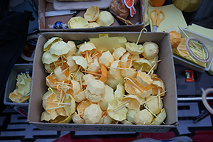 Miniature yellow umbrellas, Admiralty, 1 January 2015