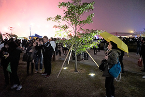 Fireworks on New Year's Eve, view from Tamar Park, Admiralty, 1 January 2015