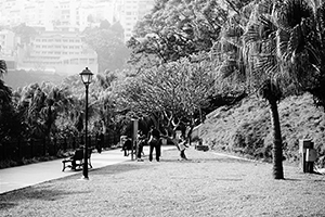 Repulse Bay, Hong Kong Island, 18 January 2015