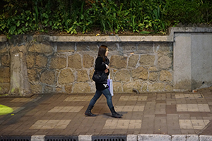 Street view, Haiphong Road, Tsim Sha Tsui, 22 January 2015