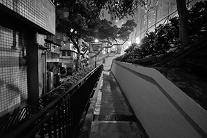 Walkway near Blake Garden, Tai Ping Shan, 23 February 2015