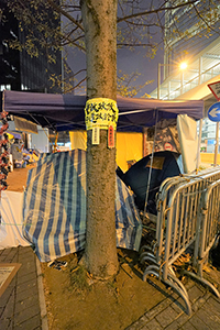 Protest message on a tree, near the Central Government Offices Complex, Admiralty, 25 February 2015