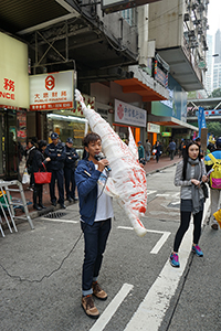 Message concerning dolphin protection, during a pro-democracy march from Victoria Park to Central, Hennessy Road, 1 February 2015