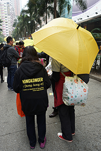 Pro-democracy march from Victoria Park to Central, Hennessy Road, 1 February 2015