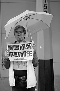 Participant with a sign and an umbrella, in a pro-democracy march from Victoria Park to Central, Hennessy Road, 1 February 2015