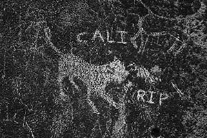 Graffiti on a concrete slope, Pokfulam Reservoir Road, Pokfulam Country Park, 8 February 2015