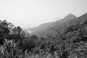 View of Pokfulam Reservoir from The Peak, Hong Kong Island, 8 February 2015