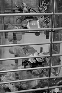 Shop window display, Sheung Wan, 10 February 2015