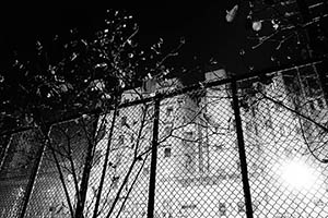 Outside Li Sing Street Playground, Sutherland Street, Sheung Wan, 11 February 2015