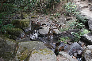 Stream, Ma On Shan Country Park, 15 February 2015