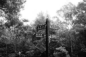 Signpost, Ma On Shan Country Park, 15 February 2015