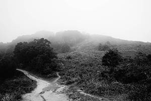 Mist, Ma On Shan Country Park, 15 February 2015