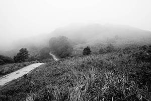 Mist, Ma On Shan Country Park, 15 February 2015