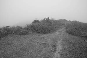 Mist, Ma On Shan Country Park, 15 February 2015