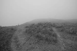 Mist, Ma On Shan Country Park, 15 February 2015