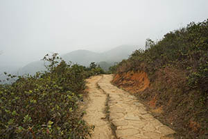 Path in Ma On Shan Country Park, 15 February 2015