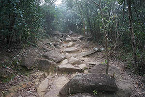 Rocky path, Ma On Shan Country Park, 15 February 2015